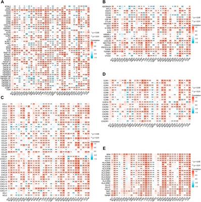 ANXA2 is a potential biomarker for cancer prognosis and immune infiltration: A systematic pan-cancer analysis